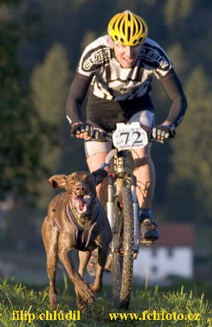 Svycarsko 05 - 0479.jpg